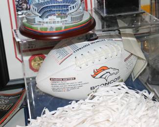 2015 Broncos Football