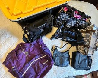 EBE269 Huge Storage Bin With Travel Bags And Purses