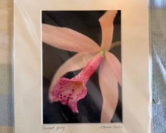 EBE023 - “Sunset Glory” by Laura Fowler 