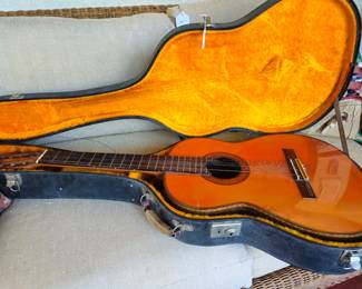 Alvarez Guitar in case