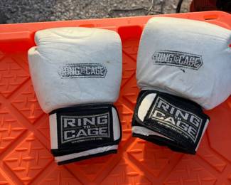 Ring to Cage boxing gloves