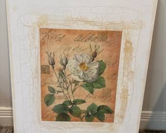 PierreJoseph Redout Rosa Alba Foliacea Botanical Print