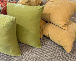 Assorted Decorative Throw Pillows