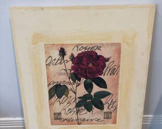 Vintage Botanical Print of Rosa Gallica with Script