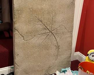 Cement star for backyard 