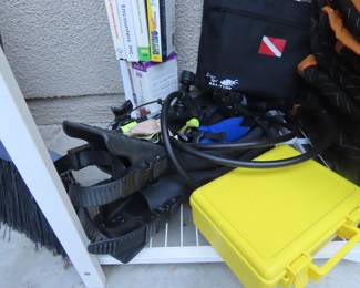 Divers fins and regulator.