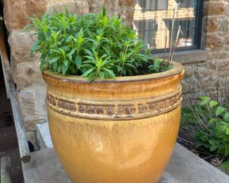 flower pot