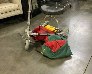 Folding Scooter for elders with carry bag