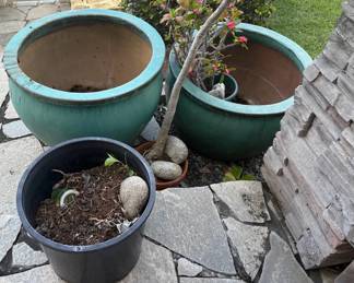 PHS067 Two Big Pots Two Regular Pots And One Planter