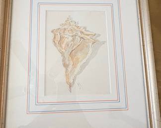 Watercolor Painting of a Conch Shell Signed 'M'