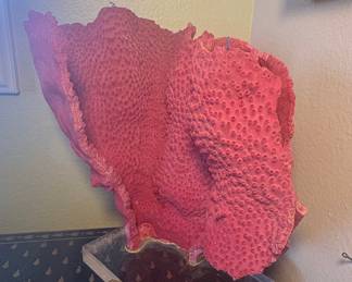 Large Pink Pipe Organ Coral Display Piece