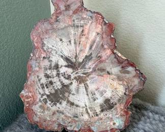 Polished Petrified Wood Slab - Arizona Rainbow