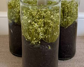 (3) Faux Cylindrical Jar Aquariums