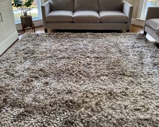 Shag Area Rug