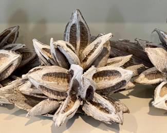 (3) Decorative Seed Pods