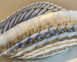 Crate & Barrel Escambia Bowl