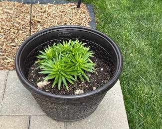 105Apr 28 2026 04 59pmeC2Q