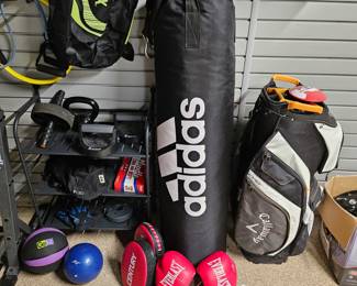Punching Bag and Gloves