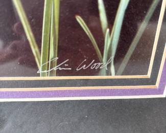 Framed & Matted Iris Print by E. Wood