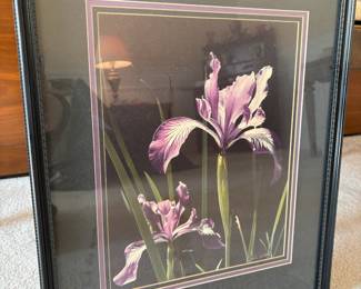 Framed & Matted Iris Print by E. Wood