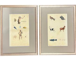 Framed pair of dated 1785 hand-colored engravings featuring various animals