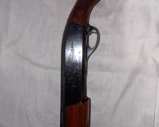 Remington 1100 12ga.
