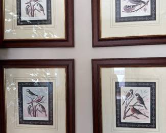 Set of 4 designer bird pictures 