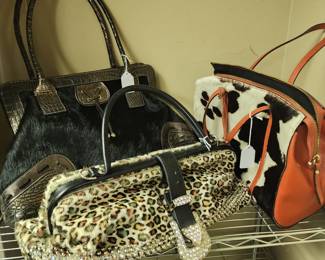 Fun and Furry Styles! 