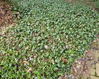 See prices & more info, copy & paste link below: https://beforeudemo.com/sales-event/glencoe-raised-ranch-3000-s-f-demolition-sale/