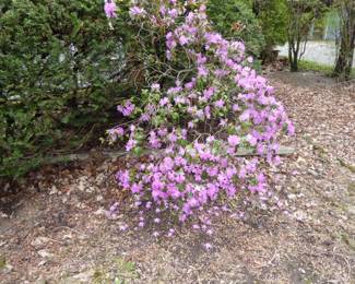 See prices & more info, copy & paste link below: https://beforeudemo.com/sales-event/glencoe-raised-ranch-3000-s-f-demolition-sale/