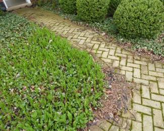 See prices & more info, copy & paste link below: https://beforeudemo.com/sales-event/glencoe-raised-ranch-3000-s-f-demolition-sale/