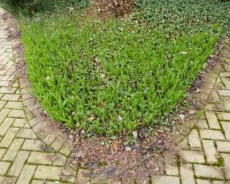 See prices & more info, copy & paste link below: https://beforeudemo.com/sales-event/glencoe-raised-ranch-3000-s-f-demolition-sale/