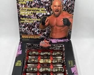 WCW Racing champions