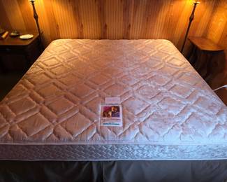 $100 AVAILABLE NOW King