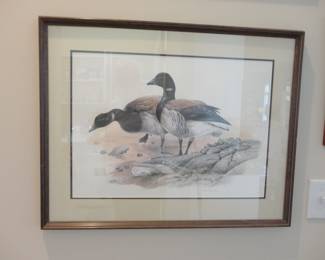 Don Whitlatch (1981) Atlantic Brant