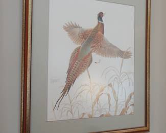 Don Whitlatch (1976) Ring-necked Pheasant 