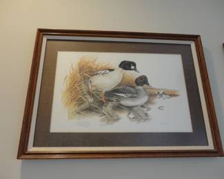 Don Whitlatch (1974) Common Goldeneye