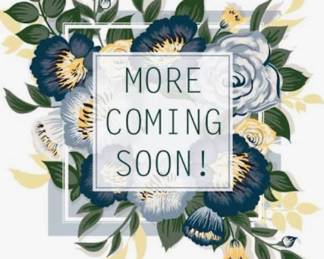 Jewelry, Holiday, Cameras…not photographed but pictures coming soon!!