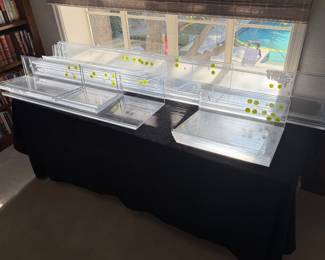 A SELECTION OF  8' - 16" LUCITE SHELVING