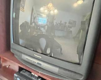 PANASONIC CRT "GAMER TV"