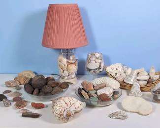 Moqui Marbles, Mollusks, Shells And Stones