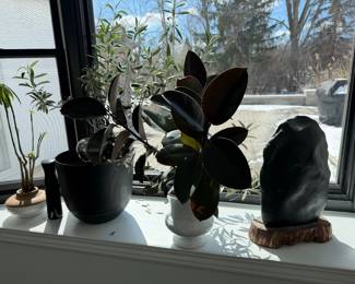 live plants