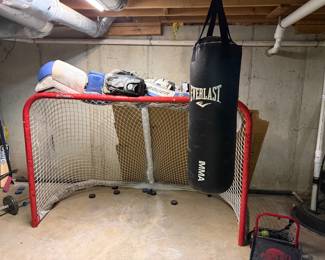 hockey net; Everlast punching bag