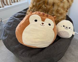 Bean bag chair & Squashmallows