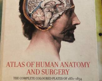 Huge Taschen Anatomy book