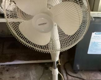 Fan