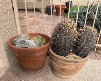 Pots And Cactus