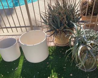 Clay Pots And Cactus