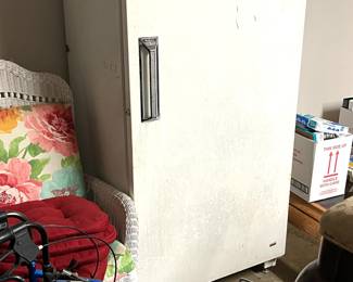 Vintage freezer (non-frost free)