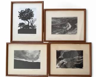 Four Chris Gartland Signed Nature Photography Prints